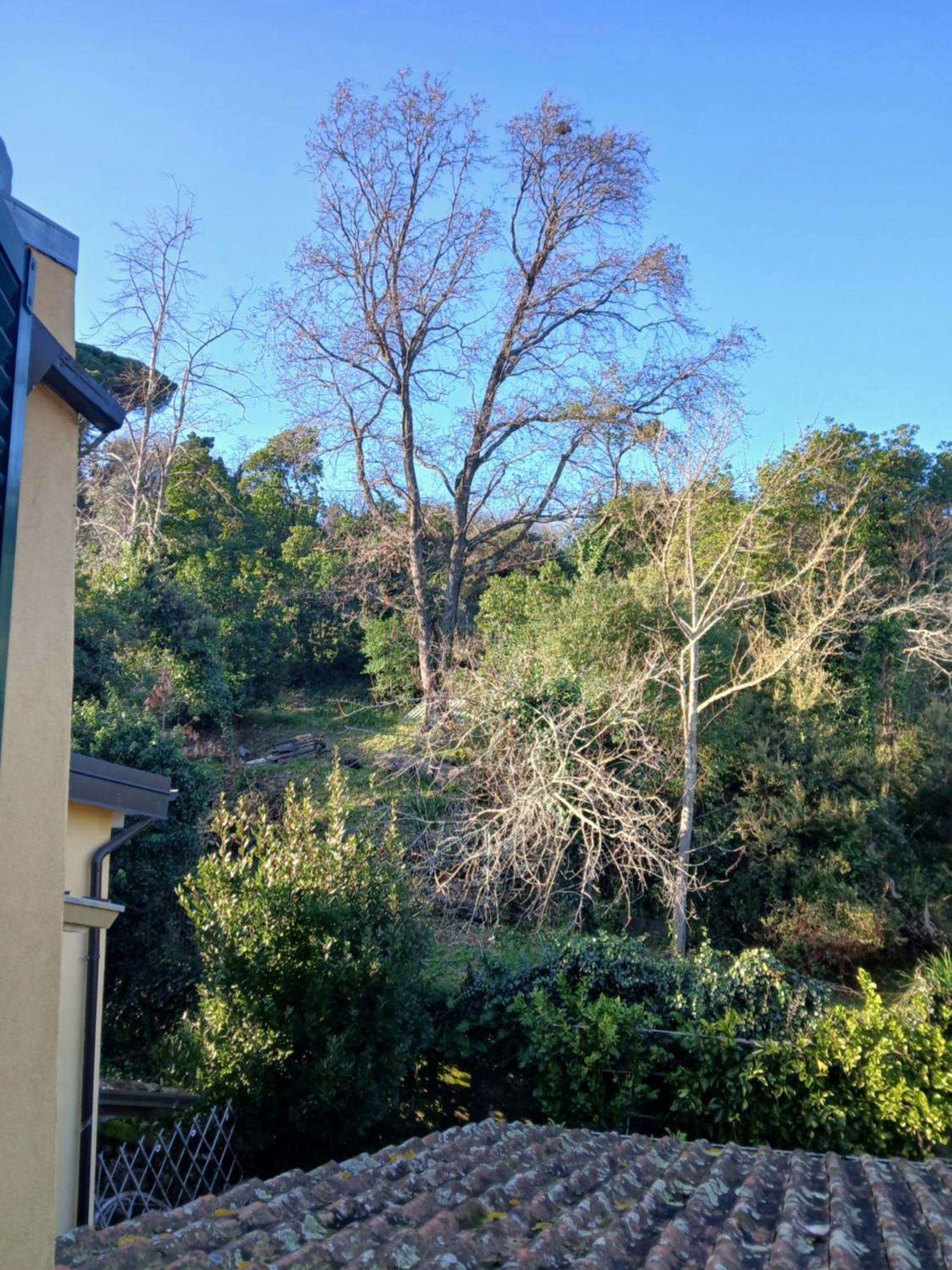 Casa Misha Tra 5 Terre E Versilia Bocca di Magra Buitenkant foto